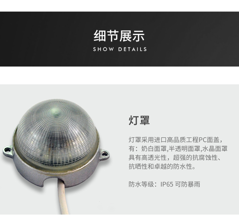 10CM點(diǎn)光源_13.jpg